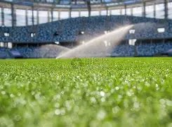 泰山首战中,超迎战河南,门票售罄,8波体育首页,即时比分,比分直播,足球比分直播,8波官网